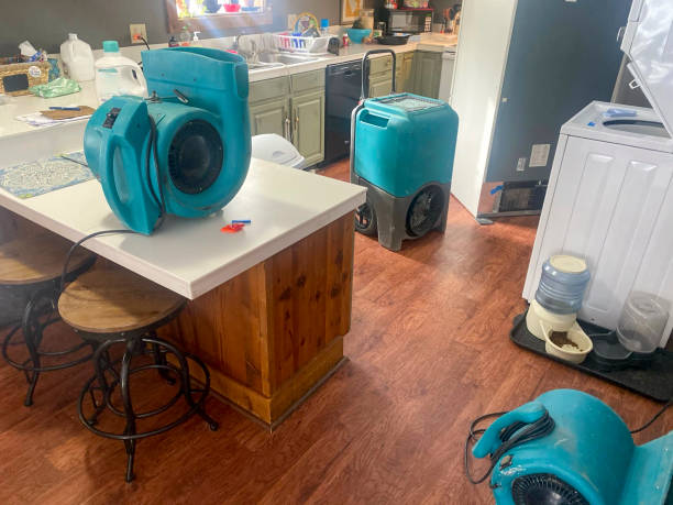 Best Sewage cleanup and water damage restoration  in Mitchell, NE