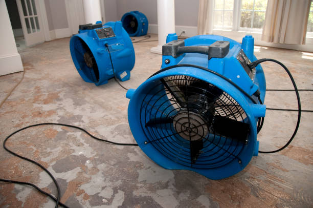 Carpet water damage restoration in Mitchell, NE