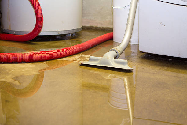 Best Fire Damage Restoration  in Mitchell, NE