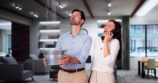 Best Local water damage restoration  in Mitchell, NE